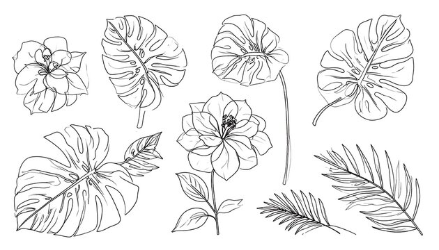 A black and white illustration of various flowers and leaves