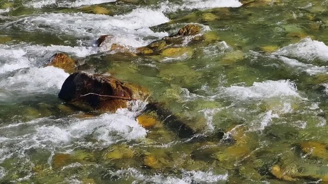 Video of water and stones of Altai river Kuba near Chemal. Camera looks down.
