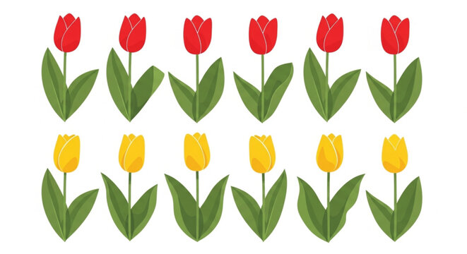 Modern flat style vector illustration of two symmetric rows with red and yellow tulips on white background