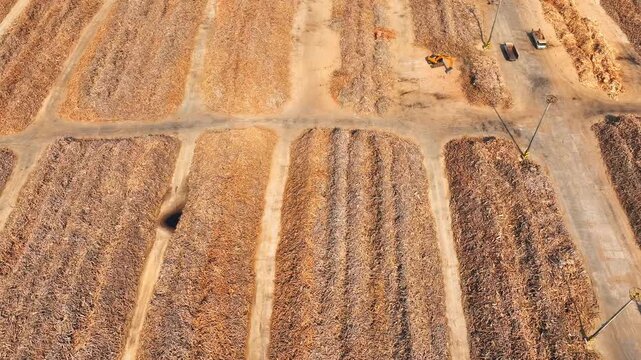 High-angle drone capture of a timber yard at a wood factory, showing stockpiled wood resources, industrial organization, and the supply base for processing, construction, wood product manufacturing.
