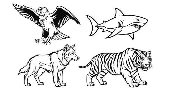 Wild animals eagle shark wolf tiger.