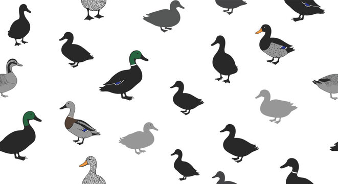 Seamless pattern featuring a variety of ducks in different colors and postures scattered across a white background.