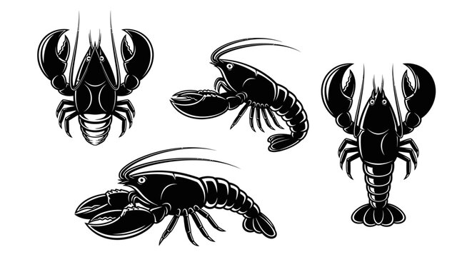 Monochrome Lobster Illustrations - Detailed Vector Graphics of Crustaceans.