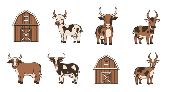 Cows and bulls in farm setting 3.