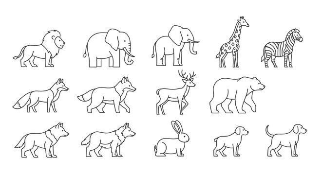 Collection of various wild animal drawings 1.