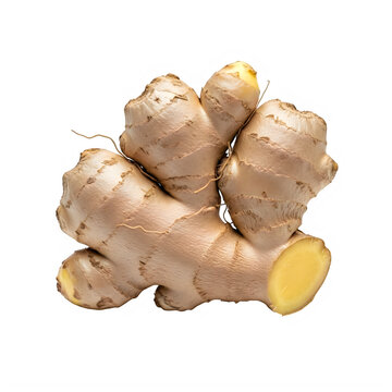 A large ginger root with several knobs