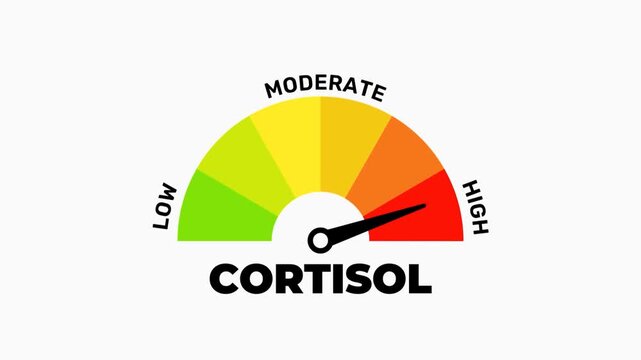 Cortisol Level Meter Showing High Stress Indicator