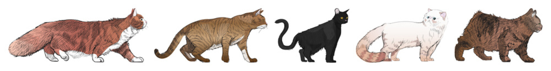 Illustrated diverse cats lineup element set © Rawpixel.com