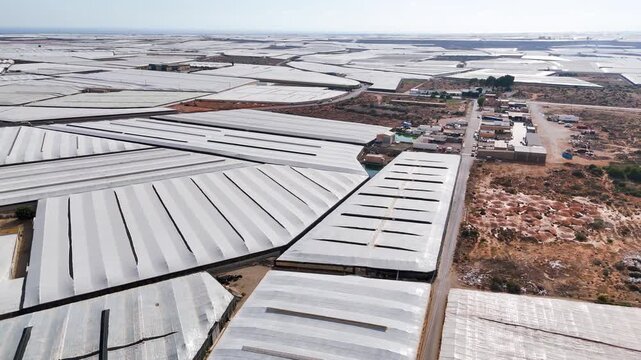 plastic sea texture industry landscape greenhouse invernaderos roof agriculture field modern technology intensive farming - Andalusia, Spain - 2025