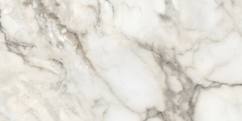 Obraz premium White satvario marble texture background with black-grey curly veins. premium glossy granite slab stone, polished quartz ceramic floor tile. This stone for wall and floor applications.