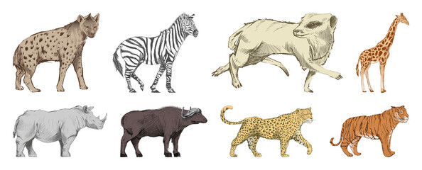 Obraz premium Illustrated wild animals collection