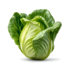 Fototapeta premium Fresh Green Cabbage Head Isolated on White Background for Healthy Cooking and Nutrition
