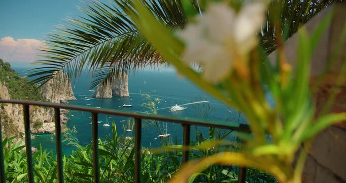 View of Faraglioni sea cliffs framed by palm leaves on summer day in Capri Italy