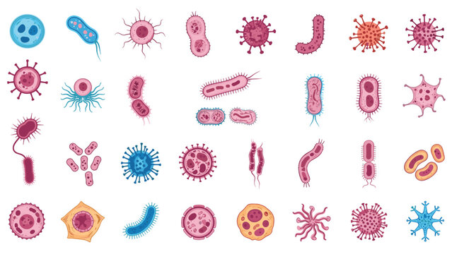 Large collection of diverse microscopic biological organisms including bacteria, viruses, cells, and germs in pink and blue colors.