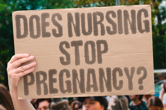 "Does Nursing Stop Pregnancy?" Documented lactational amenorrhea confirms exclusive nursing suppresses ovulation but is not fully reliable. POSTPARTUM. CONCEIVE. REAL. HEALTH. BODY.