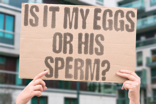 "Is It My Eggs Or His Sperm?" Documented infertility statistics attribute causes equally between female and male factors. FERTILITY. CONCEIVE. REAL. HEALTH. BODY.