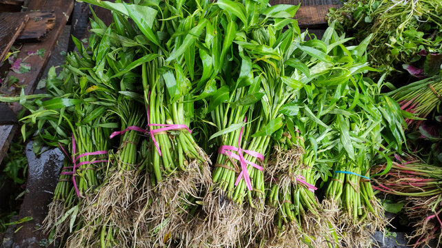 Bunches of Fresh Water Spinach or Kangkung at Market