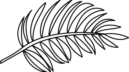 Fototapeta premium Palm leaf line drawing isolated on white background.