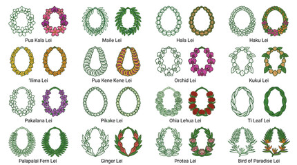 A comprehensive visual guide showcasing twenty distinct styles of Hawaiian leis, each labeled with its specific name. © logan