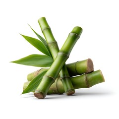 Fototapeta premium Green Bamboo Sticks with Leaves on a White Background for Natural Inspirations and Designs