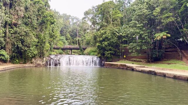 Malanda Falls in the Atherton Tablelands, tropical North Queensland, Australia. Scenic waterfall surrounded by lush rainforest and natural landscape. Popular travel destination.