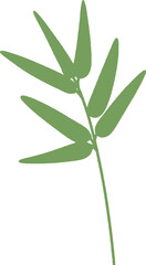 Fototapeta premium bamboo branch leaf