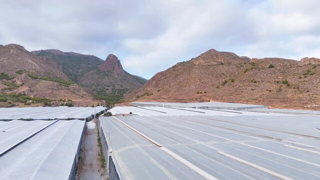 borderland industry nature landscape mountain skyline greenhouse roof plastic sea agriculture invernaderos structure texture road invasion equipment intensive farming drone - Andalusia, Spain - 2025