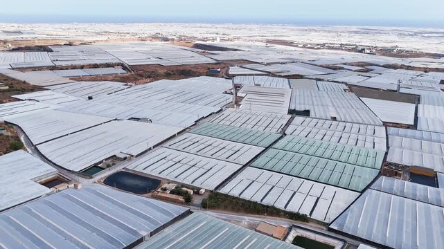field modern invernaderos greenhouse plastic sea immigration structure drone texture industry roof equipment agriculture migrant farming business infinite success pattern - Andalusia, Spain - 2025