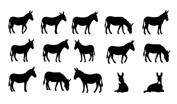 Donkey silhouettes vector set with different poses and side views isolated on white background