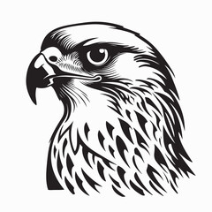 Fototapeta premium Powerful Falcon Head Vector Illustration On White Background