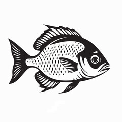 Fototapeta premium Freshwater Walleye Fish Vector Illustration On White Background