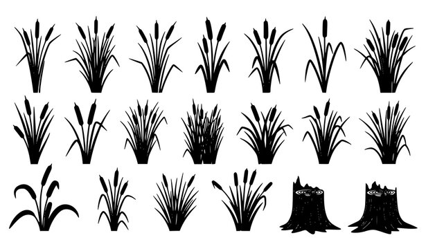 Reeds and cattails silhouette set vector marsh plants and stumps CAD style illustration