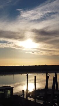 Vertical Lagoon and Coastal Landscape with Sunset, Birds, and Golden Hour silhouettes