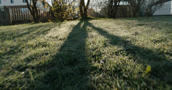 A dynamic 18mm point-of-view (POV) shot from a dog's perspective. The camera moves low to the ground through a lush, dewy garden in the bright morning sun, capturing the immersive experience of a dog