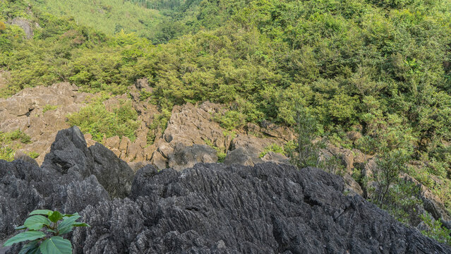 Landscape of a natural park. Lush green vegetation on the rocks. In the foreground is a black cliff with furrows and cracks. China. Guiyang. Guizhou.Tianxingqiao Scenic Area.