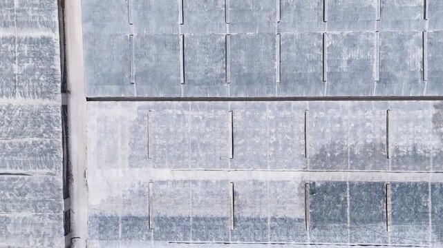 plastic sea texture industry greenhouse plan field agriculture invernaderos industrial building roof frame detail road drone - Andalusia, Spain - 2025