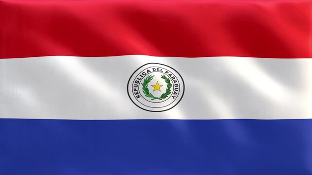 Paraguay_National_Flag_Waving_Seamless_Loop_4K