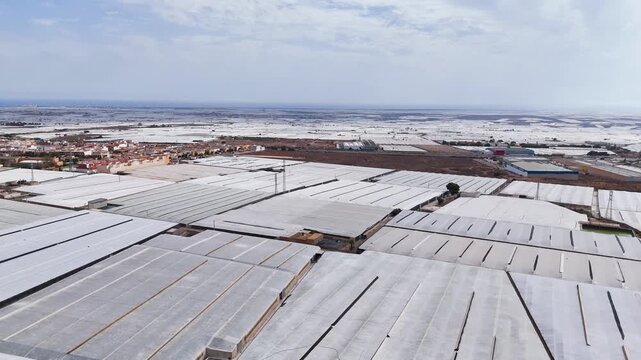 greenhouse capitalism field agriculture plastic sea texture infinite pattern invasion earth terra forming invernaderos intensive farming landscape drone skyline - Andalusia, Spain - 2025
