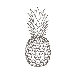 Obraz premium A brown line drawing illustration of a whole pineapple with leaves on top tropical fruit