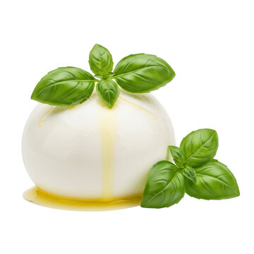 A ball of mozzarella cheese with basil leaves on top isolated on transparent background