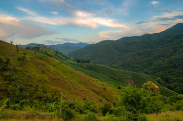 Obraz premium Lush green hills and mountains in the dense forest, in the evening.