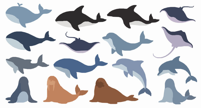 Sea animals vector set with whales killer whale stingray and ocean mammals isolated on white background