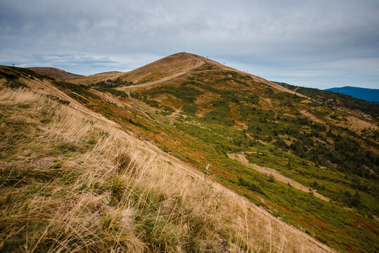 Carpathian mountains landscape with rolling hills and grassy slopes under a cloudy sky