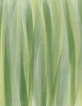 Soft abstract watercolor background with organic green textures and fluid brush strokes. Hand painted digital illustration inspired by natural landscapes, suitable for branding, packaging, wallpaper