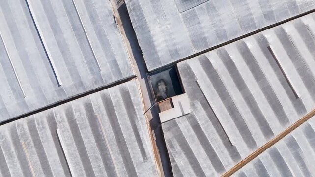 industry roof agriculture drone field farming plastic sea texture plan industrial road grey pattern road mass production business design - Andalusia, Spain - 2025