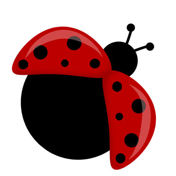 Flat design of lady bug on white background.