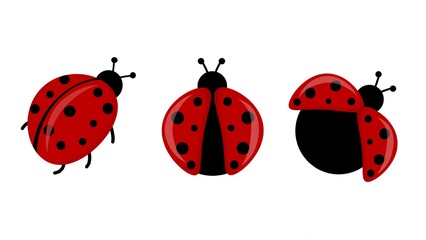 Flat design of lady bug on white background. © FibriyantiNur