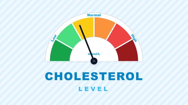 Medical Infographic Animation of Cholesterol Level Gauge Meter from Low to High for Healthcare and Wellness Content