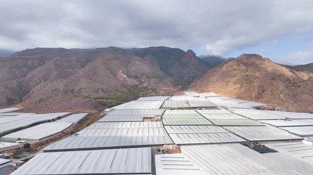 plastic sea industry nature mountain industrial greenhouse field border intensive farming mass production drone texture invasion development - Andalusia, Spain - 2025