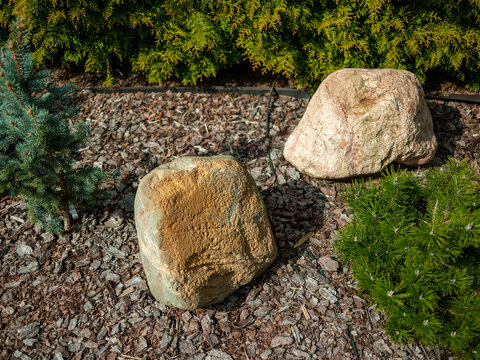 big rocks in a small garden